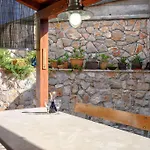 Cincilograd ييلسا