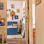 Cincilograd فيلة ييلسا